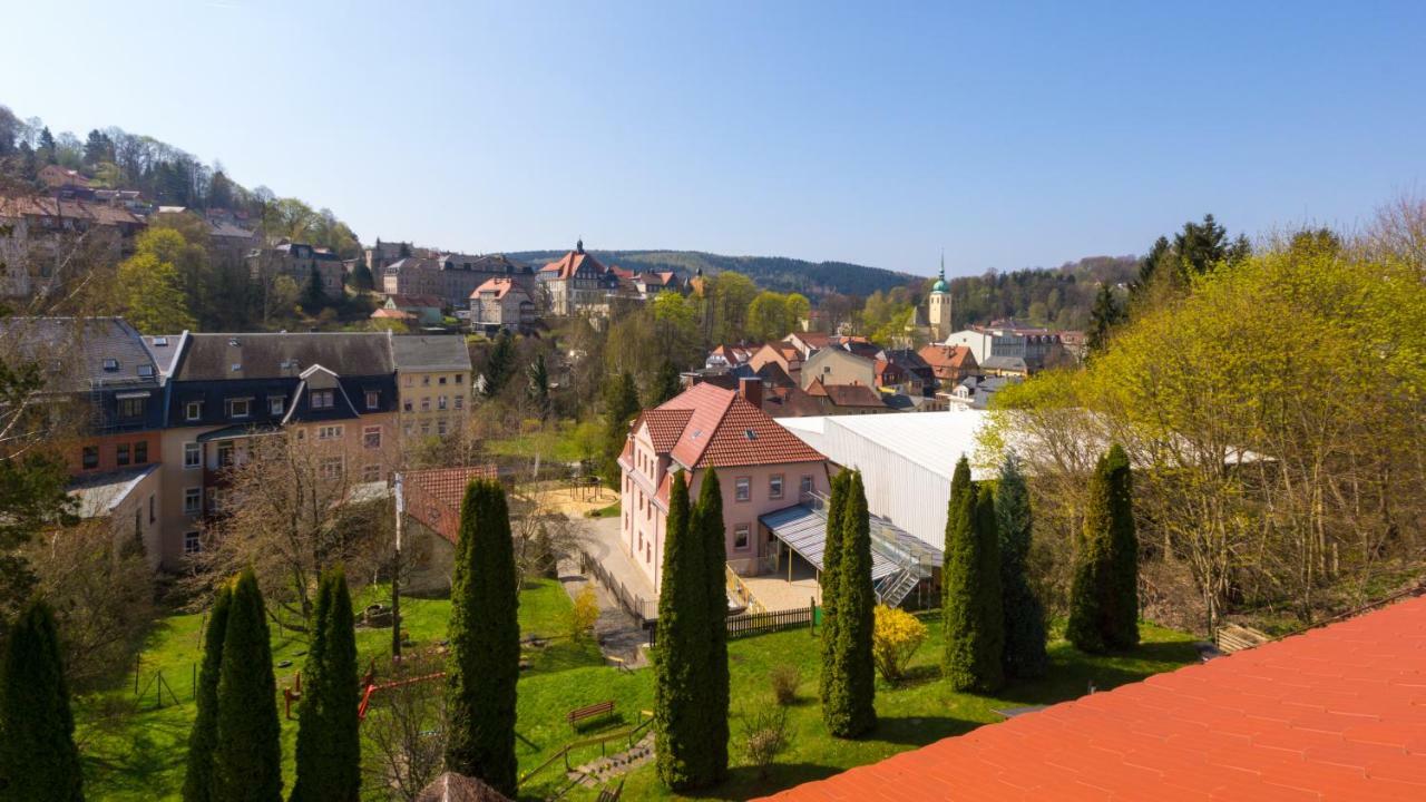 Pension Am Finkenberg Sebnitz Exterior photo